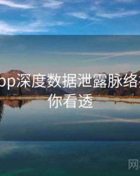 黑料网app深度数据泄露脉络揭秘，带你看透