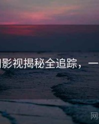 黑料网影视揭秘全追踪，一起深挖