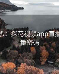 独家深扒：探花视频app直播事故流量密码